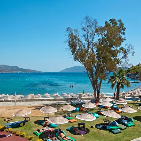 Salmakis & Complex 5*
